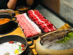 毛肚-呷哺呷哺 黄金牧场 (新中关购物中心店)