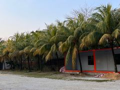 -兴隆槟榔园休闲农庄