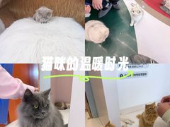 -天虹购物中心(深圳龙华店)