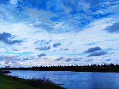 -春花秋色城市公园