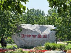 -御林古桑园