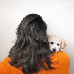 -Style HAIR
