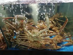 -蟹之国·精品蟹料理(极地店)