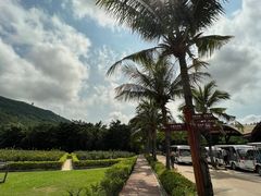 -亚龙湾国际玫瑰谷