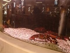 -葡京日丽(澳门葡京酒店)