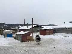 -北极村旅游风景区
