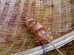 -邓记新一代糖油果子(四川煤管局供销公司职工宿舍店)