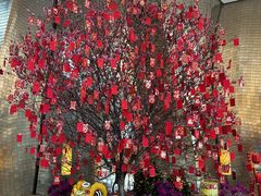 -广州天河希尔顿酒店