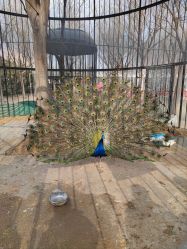 点击看大图 -优沃得自然教育农场·冰雪乐园·生日会·研学