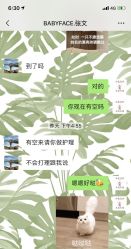 -BABY FACE沙龙