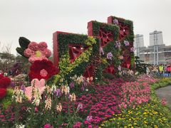 -海心沙亚运公园
