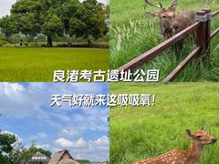 -良渚古城遗址公园