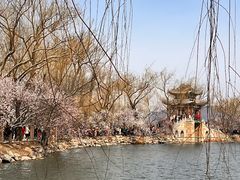 -颐和园-景明楼