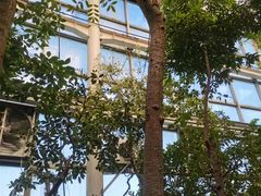 -石家庄市植物园