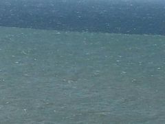 -青松大叔的店(东财店)