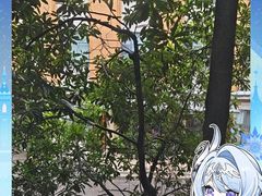 -橡皮书店(翠湖北路店)