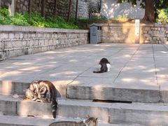 -四门塔风景区