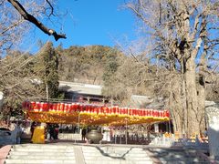 -潭柘寺景区