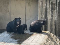 -攀枝花公园