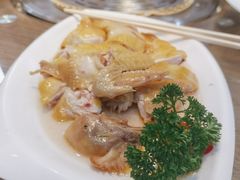 -港升鱼师傅·中山脆肉鲩