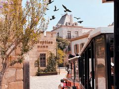 -北京张裕爱斐堡酒庄