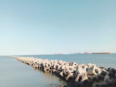 -东疆建设开发纪念公园