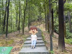 -火炉山森林公园