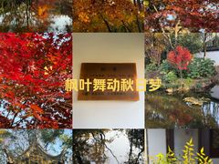 -秋霞圃