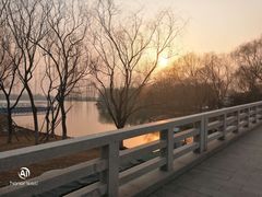 -大兴滨河森林公园