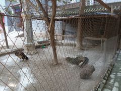 -罔极寺