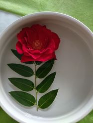 -梵隐SPA
