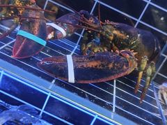 -小螺号海鲜·地道鲁菜(省体总店)
