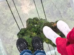 -呀诺达热带雨林