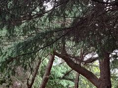 -黄兴公园