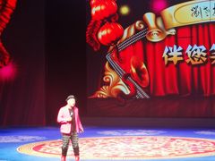 -刘老根大舞台-长春旗舰店