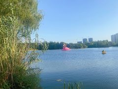 -青枫公园