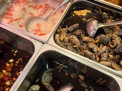 -红灯笼龙凤饭店(宁波老字号店)