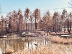 -宁波杭州湾国家湿地公园