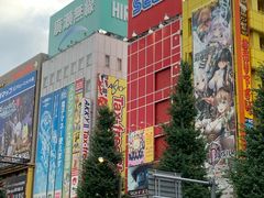 -秋叶原电器街