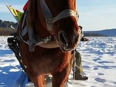 -北极村旅游风景区