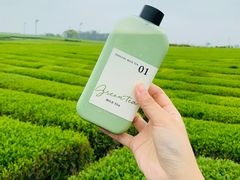 -雪绿茶博物馆