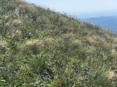 -白草畔自然风景区