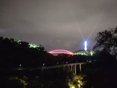 -金鸡山公园