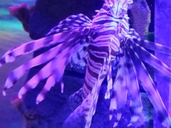 -沈阳海洋探索中心