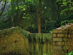 -大岭沟猕猴桃谷风景区