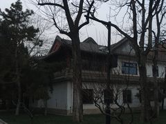 -团结湖公园