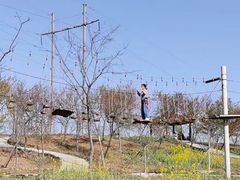 -绵阳盛世樱花悠乐谷