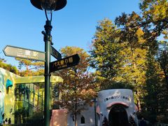 -三鹰之森吉卜力美术馆