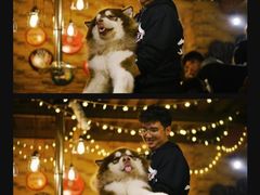 -玩坞轰趴馆·户外团建聚会主题生日派对馆(世豪广场店)