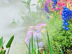 -人民公园(罗湖区)